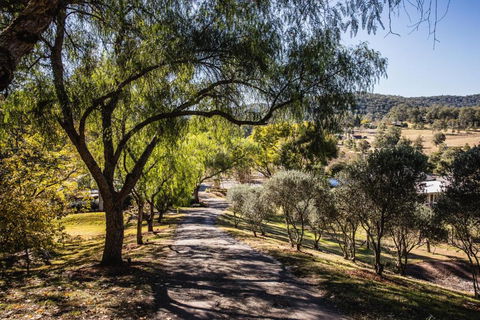 Capers Guesthouse Barn & Cottage - C Tourism 3