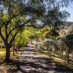 Capers Guesthouse Barn & Cottage - C Tourism 0