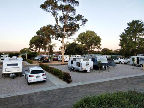 Murray Bridge Tourist Park - C Tourism 4