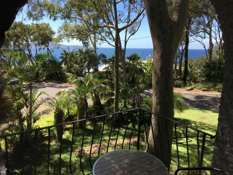 Palm Beach Bed & Breakfast - C Tourism 5