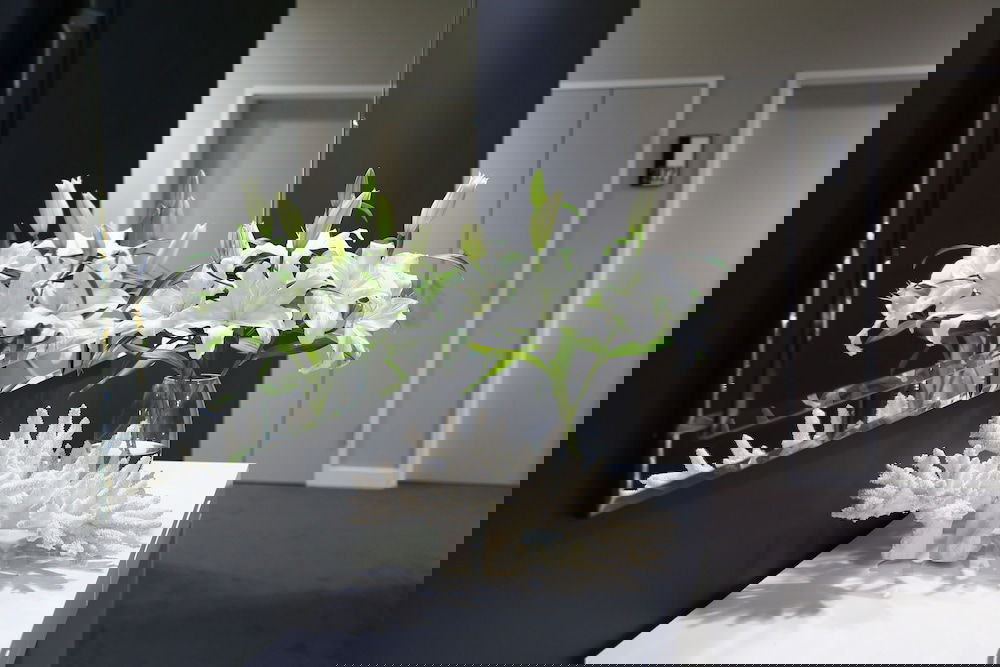 Bellbird Park QLD C Tourism