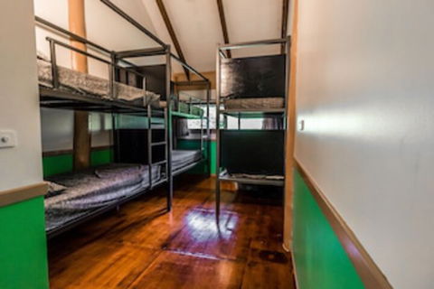 Jackaroo Treehouse Mission Beach - C Tourism 0