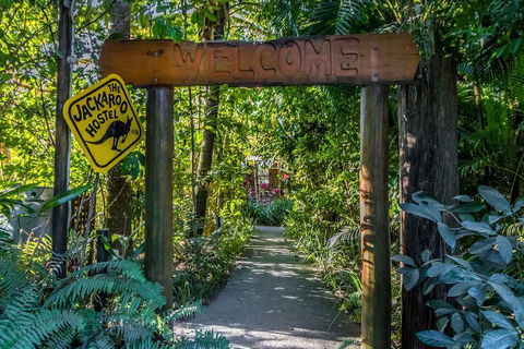 Jackaroo Treehouse Mission Beach - C Tourism 1
