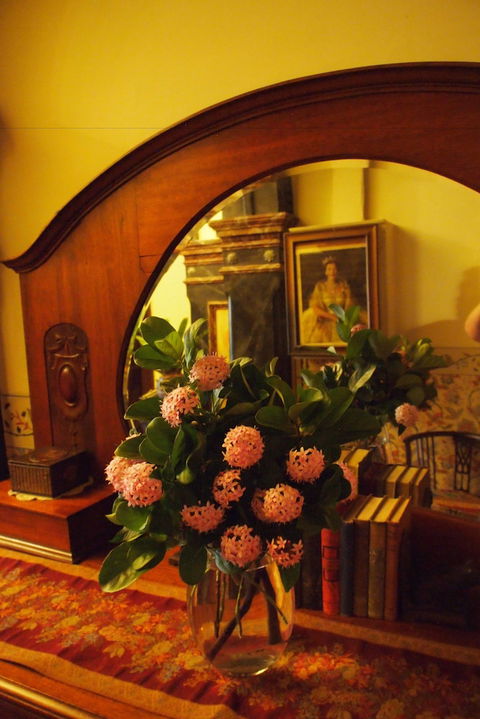 Vacy Hall Toowoomba's Grand Boutique Hotel - C Tourism 6