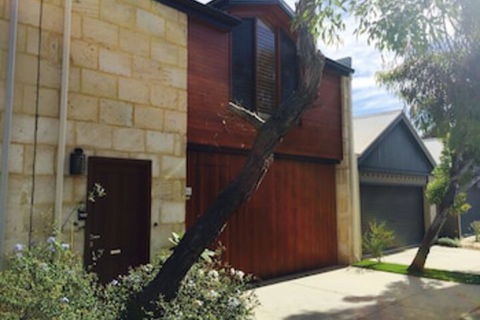 Fremantle Beach Studio - C Tourism 0