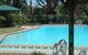 The Tree Motel - thumb 0