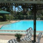 The Tree Motel - C Tourism 0