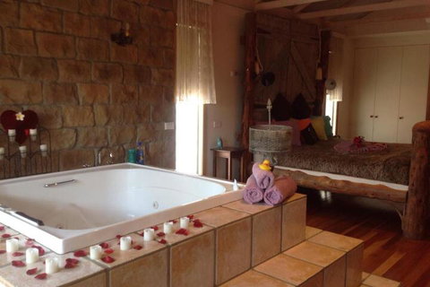 Ditto Daddys - C Tourism 5