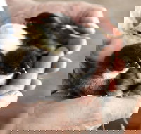 Margaret River Hideaway - C Tourism