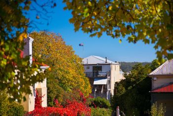 Alpha Loft - C Tourism 2