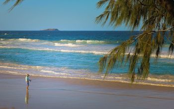 Pacific Royale Holiday Apartment 313 - C Tourism 2