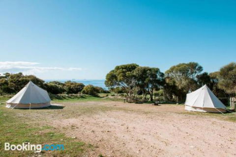 Glamping At September Beach Lincoln National Park - C Tourism 3