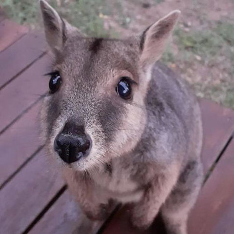 Camp Kanga - C Tourism 6