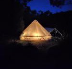 Glamping at Zeehan Bush Camp - C Tourism