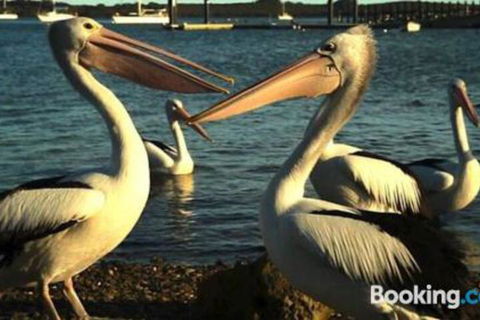 Schoolhouse Cottage American River - C Tourism 1