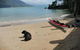 Turtle Reef Bed & Breakfast Cairns - thumb 3