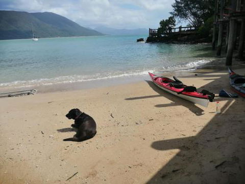 Turtle Reef Bed & Breakfast Cairns - C Tourism 3