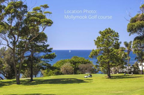 Stunning Clifftop Location 213 Mitchell Pde - C Tourism 1