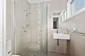 DOLPHIN VIEWS - C Tourism 1