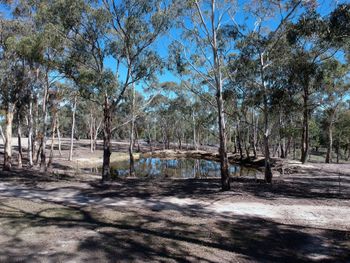 Big Tiny The Whispers - C Tourism 3