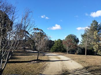 Big Tiny The Whispers - C Tourism 5