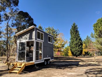 Big Tiny The Whispers - C Tourism 4