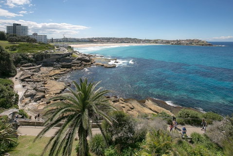 Ultimate Bondi Escape - C Tourism 4