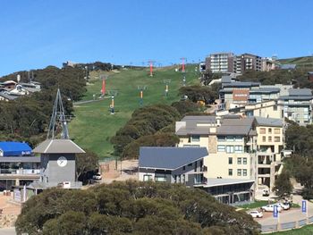 Alto 204 - C Tourism 3