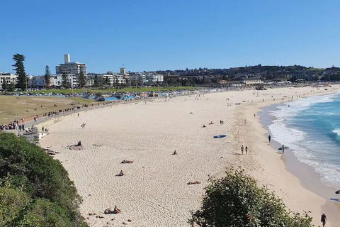 Incredible Location 2 Bedroom Bondi Beach Apartment - C Tourism 1