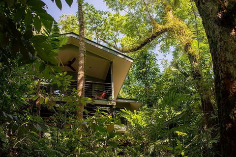 Silky Oaks Lodge - C Tourism 3