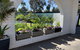 Mulwala Resort - thumb 6