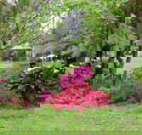 North East Rest Awhile Bed  Breakfast - C Tourism