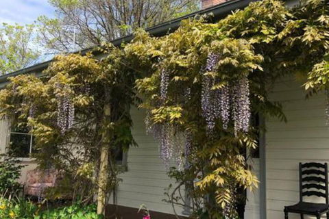 Clarence Cottage - C Tourism 0