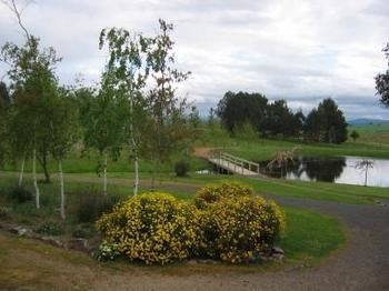 Buttercup Cottage & Private Apartment - C Tourism 3
