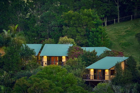 Dayboro Cottages & Llama Walks - C Tourism 3