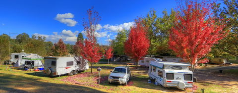 Beechworth Lake Sambell Caravan Park - C Tourism 0