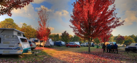 Beechworth Lake Sambell Caravan Park - C Tourism 3