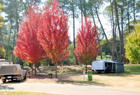 Beechworth Lake Sambell Caravan Park - C Tourism 1