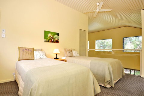 Tree Elle - C Tourism 5