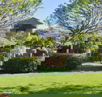 Tree Elle - C Tourism