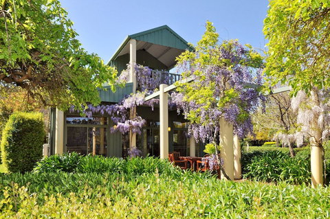 Tree Elle - C Tourism 1