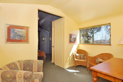 Tree Elle - C Tourism 3