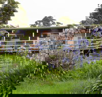 Bombina Cottages - C Tourism