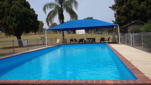 Jacaranda Motor Lodge - C Tourism 6