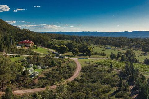 The Mudgee Homestead Guesthouse - C Tourism 3