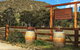 The Mudgee Homestead Guesthouse - thumb 1