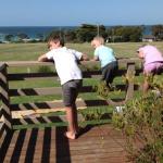 Beachend Bicheno - C Tourism 0