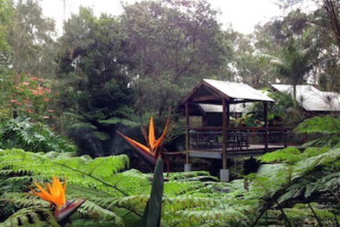 The Oasis At One Mile Beach - C Tourism 2