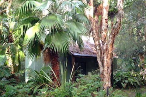 The Oasis At One Mile Beach - C Tourism 0