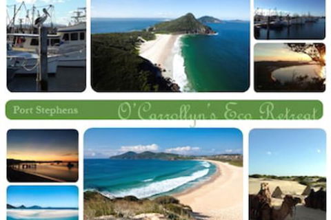 The Oasis At One Mile Beach - C Tourism 5